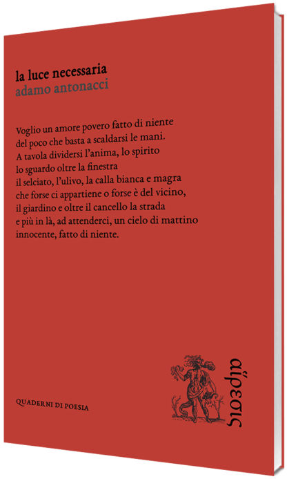 Adamo Antonacci - La luce necessaria