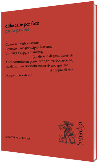 Paolo Pavone - Didascalie per foto