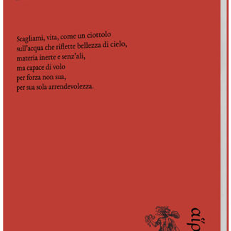 Matteo Straccia - La nave in bottiglia
