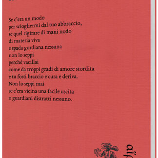 Cecilia Braccesi - Assoluto adesso soltanto