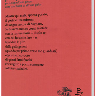 Paolo Pedrazzi - Optica