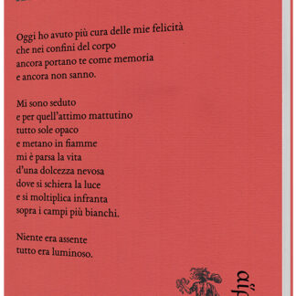 Luca Mazzocchi - Il minimo del mondo
