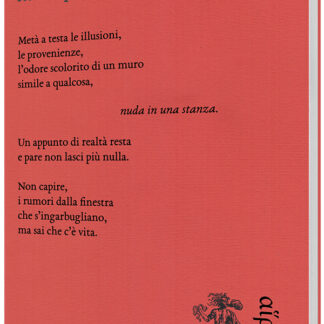 Stefano Palin - Un uomo fa