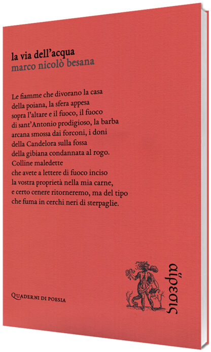 Marco Nicolò Besana - La via dell’acqua