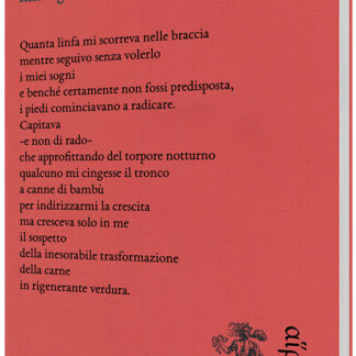 Mina Gechi - Eccentrica