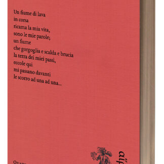 Mario Matteucci - Poesie in disordine