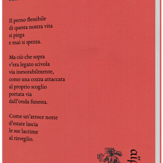 Raffaele Ferrara - Come legna che arde