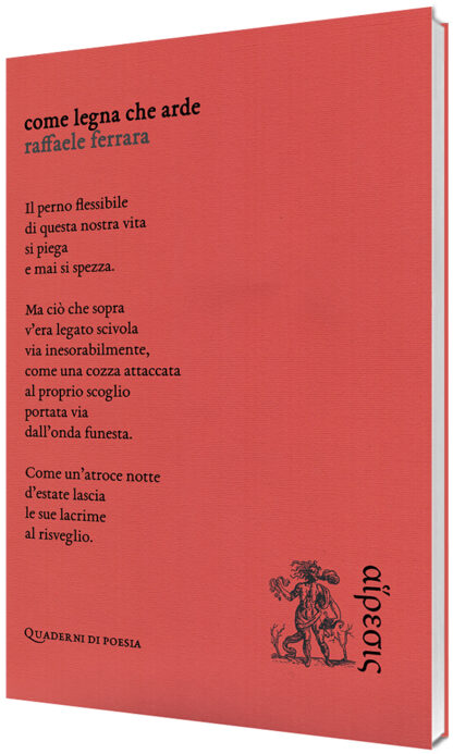 Raffaele Ferrara - Come legna che arde