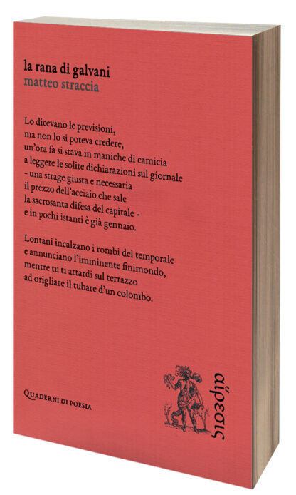 Matteo Straccia - La rana di Galvani
