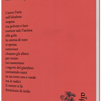 Chiara Forgillo - Esplodono stelle se disegno un cielo